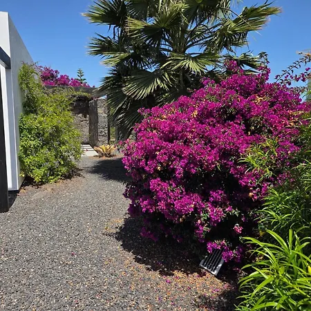Casa Carica With Heated Pool In Lajares